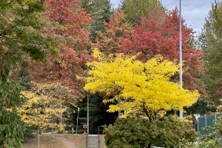 Elegant and Minimalist Studio - 22