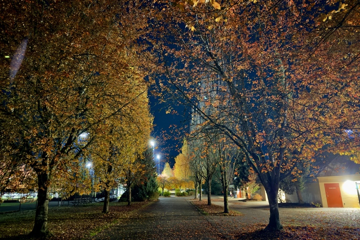 Elegant and Minimalist Studio - 23