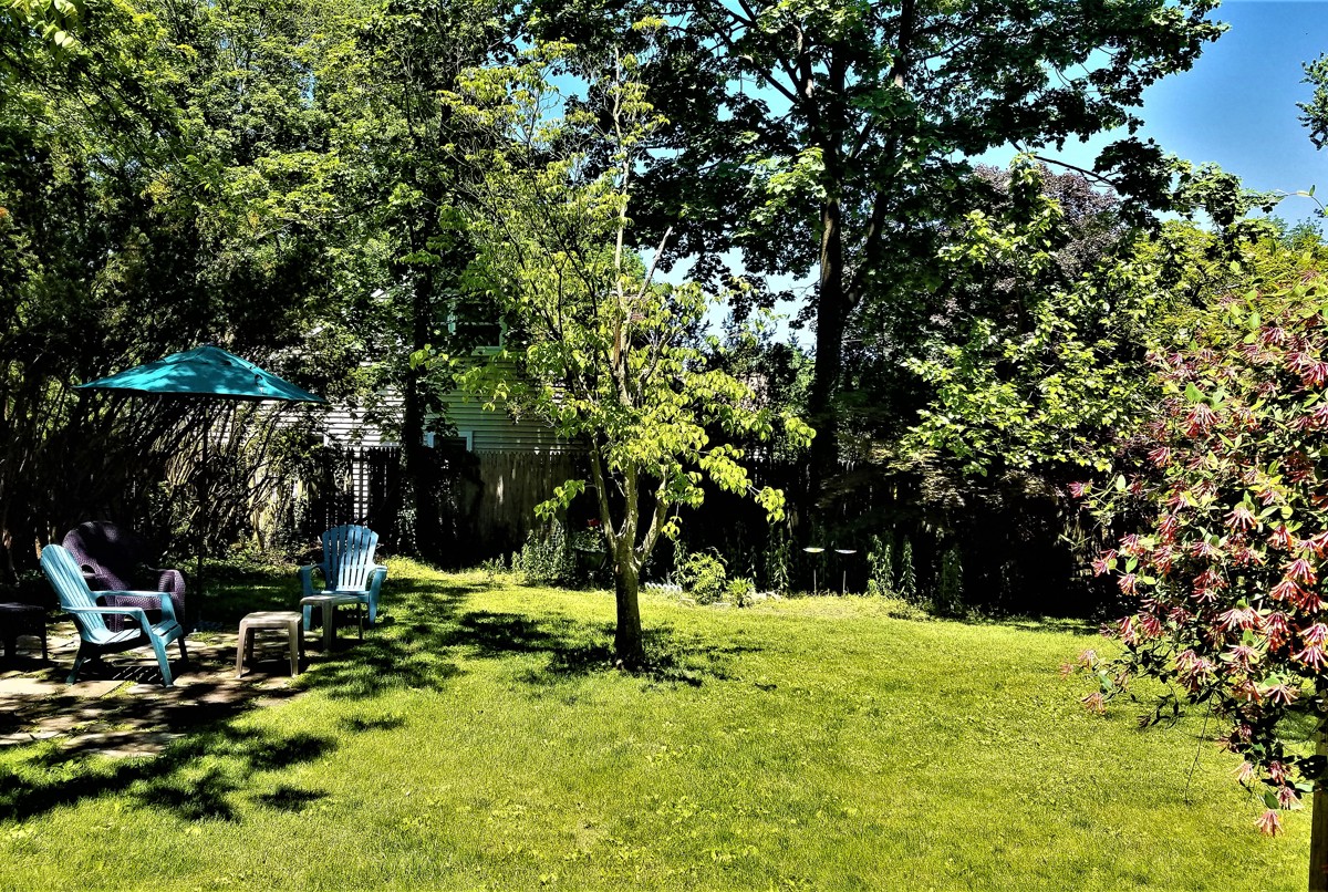 cozy, bright home with private garden