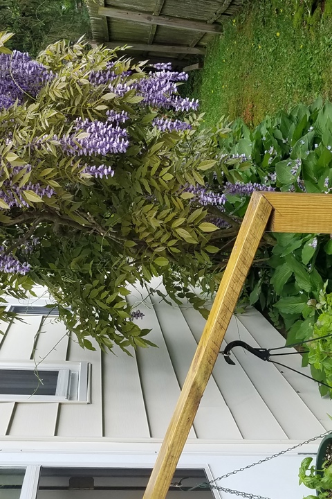 cozy, bright home with private garden - 2