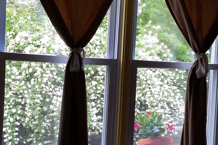 cozy, bright home with private garden - 3