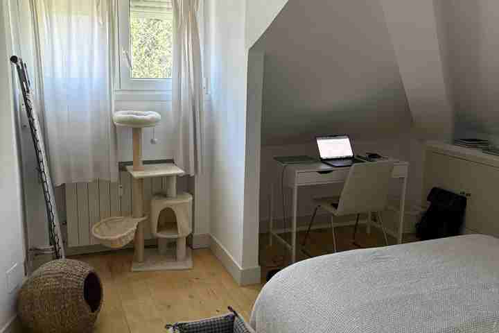 Spacious and Relaxing Apartment in Madrid - 4