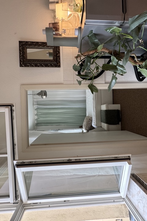 Bright City Apartment – Central &amp; Quiet - 8