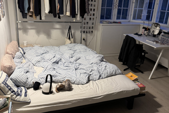 Copenhagen - Funkis villa close to copenhagen - 11