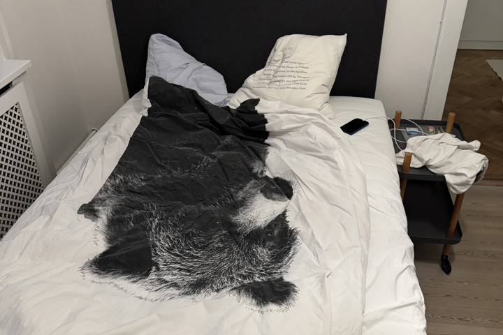 Copenhagen - Funkis villa close to copenhagen - 13