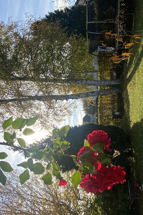 Cozy Family home #augsburg #munich - 7