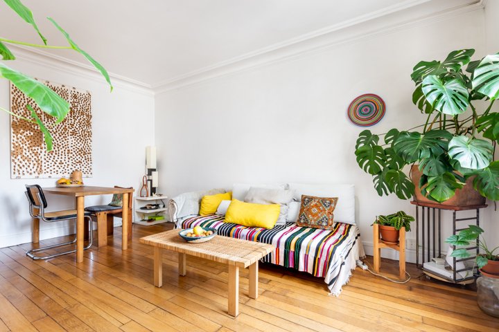 Appartement parisien cozy et ensoleillé - 2