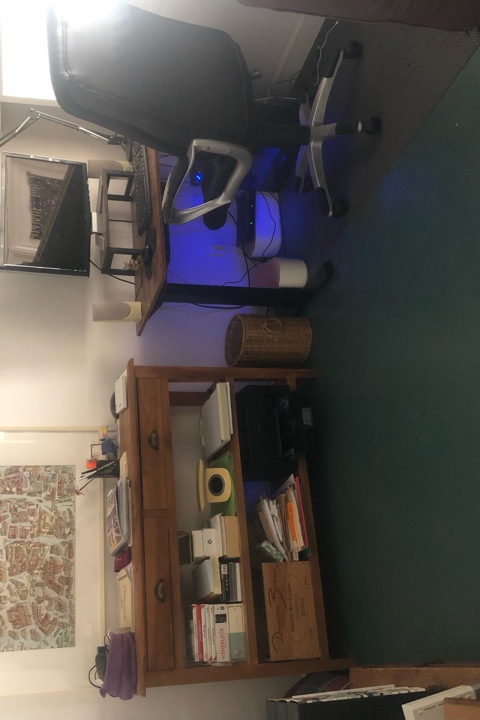 Historic apartment in downtown Lyon - 5