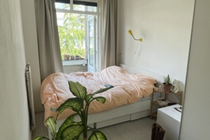 Bright apartment in Amsterdam - 3