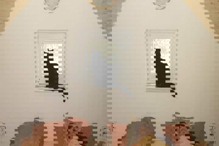 Cozy cottage, next to the woods - 1