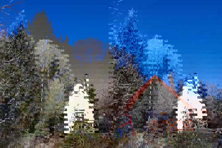 Cozy cottage, next to the woods - 2