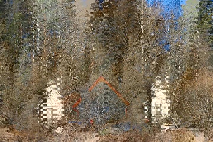 Cozy cottage, next to the woods - 6