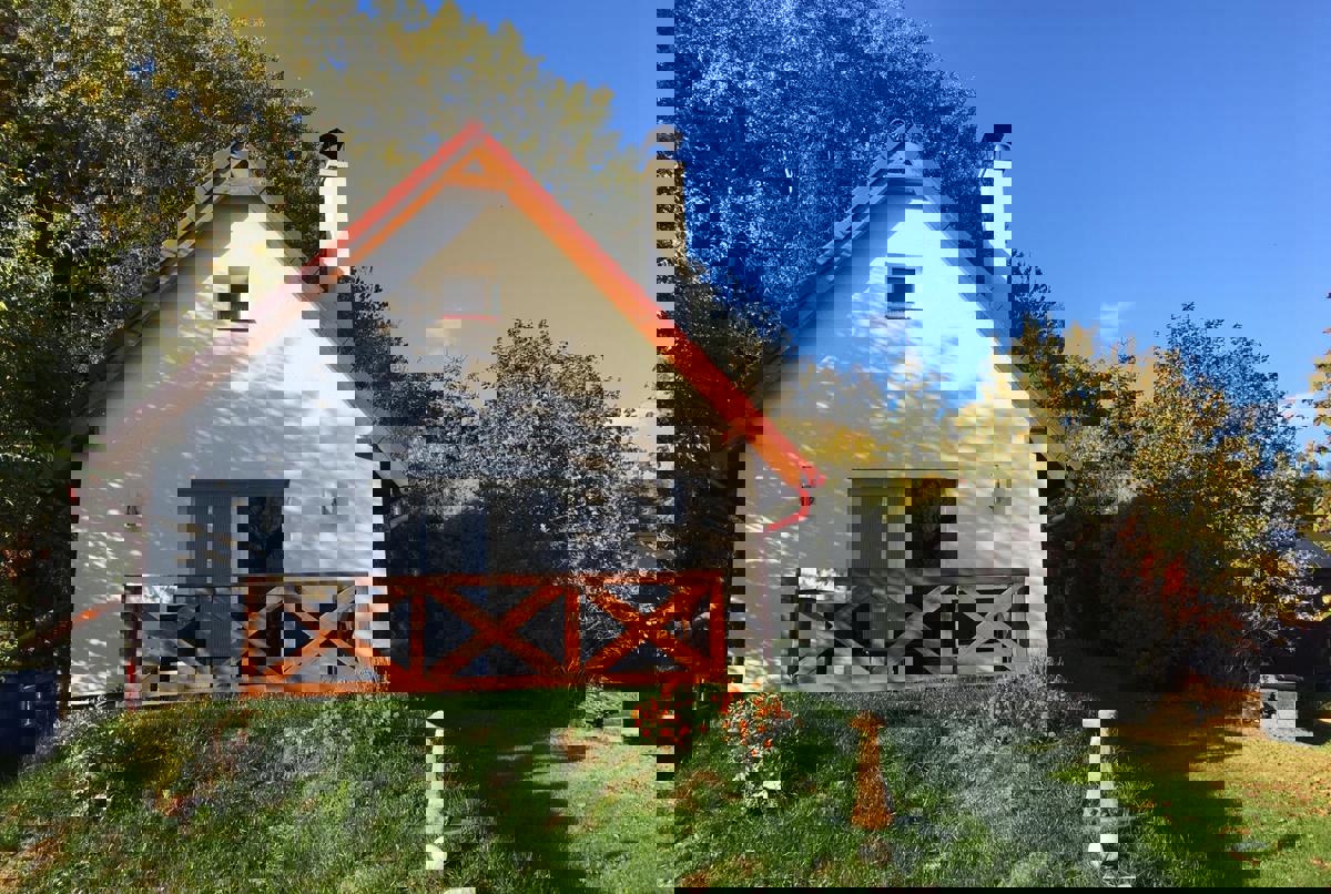 Cozy cottage, next to the woods