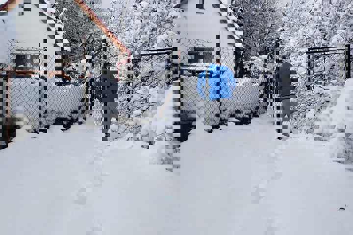 Cozy cottage, next to the woods - 16