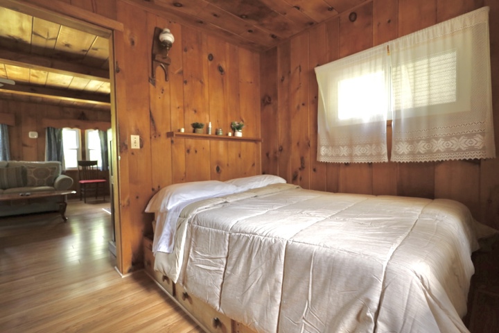 Adirondack Upper Hudson Tributary Log cabin - 11