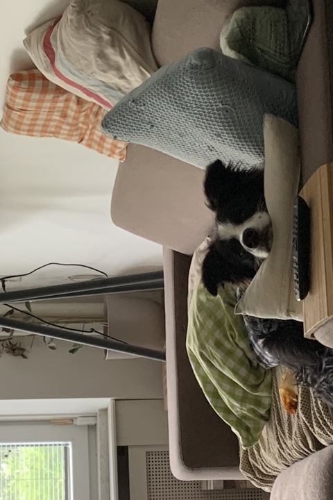 Appartement with direct acces to a park - 1