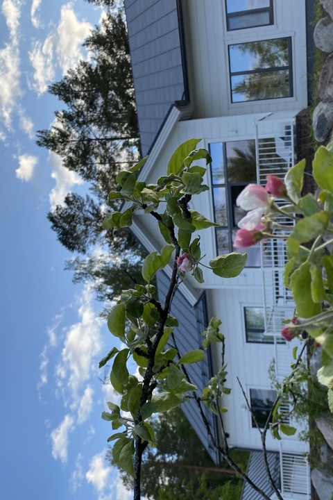 Lakeside house - 2