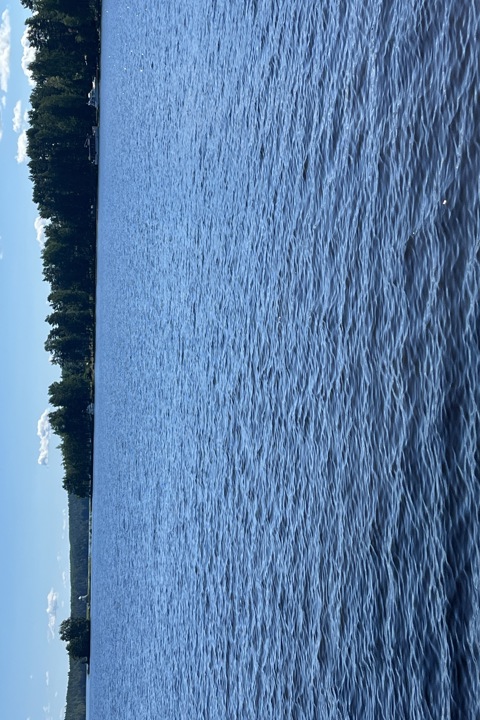 Lakeside house - 8