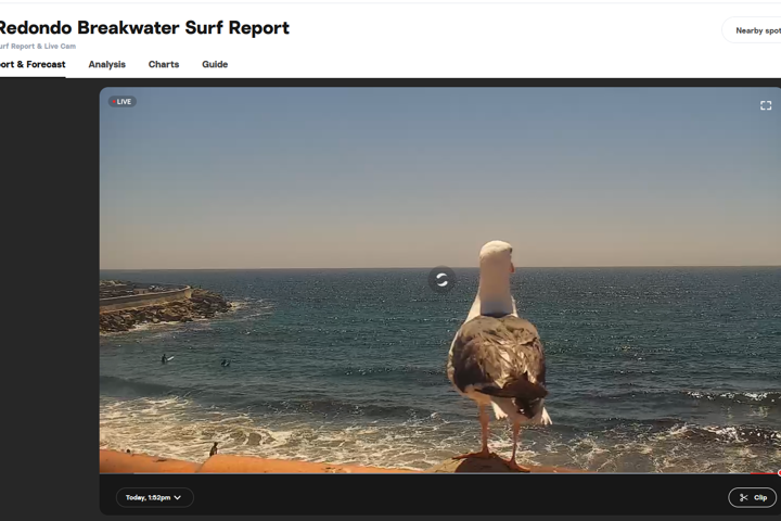 Relaxed Beach Pad 5 min from Beach - 6