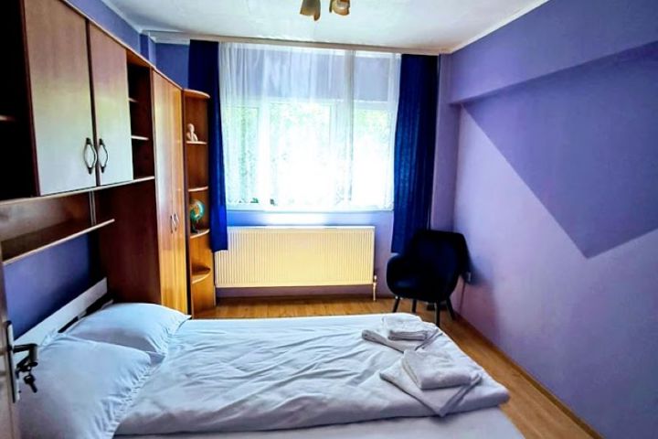Cozy Apartment near Cluj-Napoca - 4