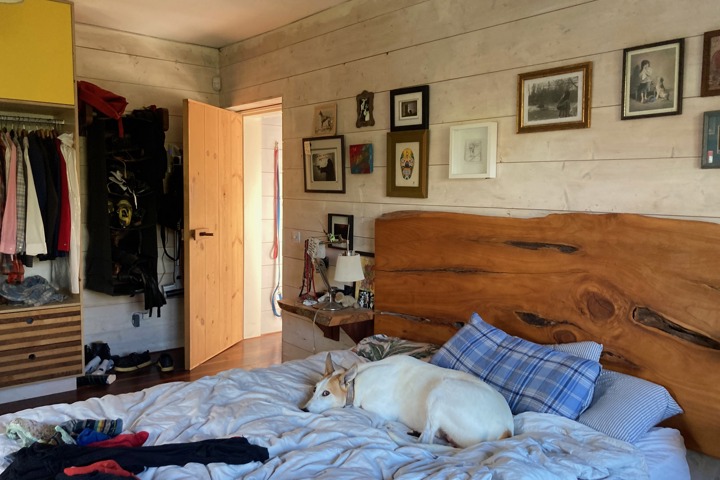 Modern open plan passive house in bucolic setting - 4