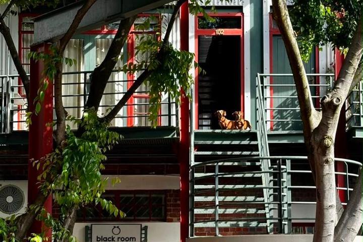 Charming Loft Apartment in De Waterkant, Cape Town - 1