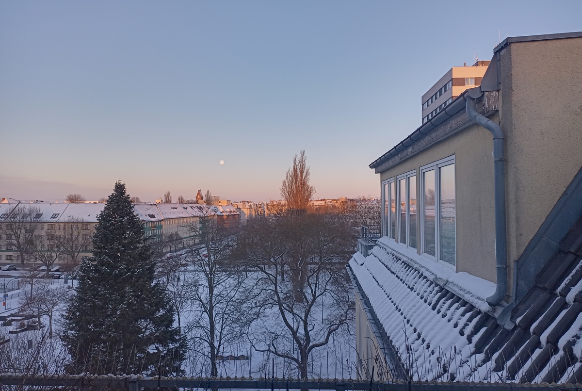 Rooftop dream