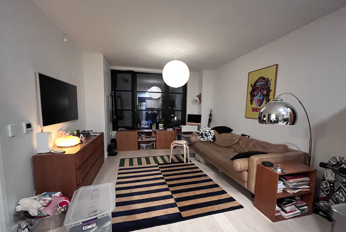 Brooklyn Dream Apartment