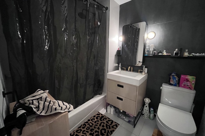 Brooklyn Dream Apartment - 5