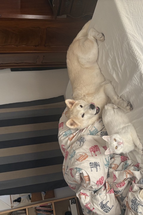 Cosy apartment in quiet area - 2