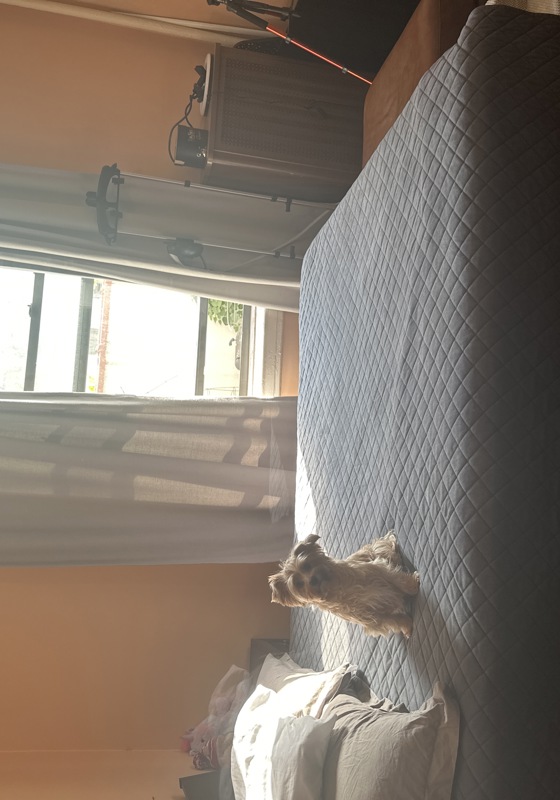 home swap in New York City, New York