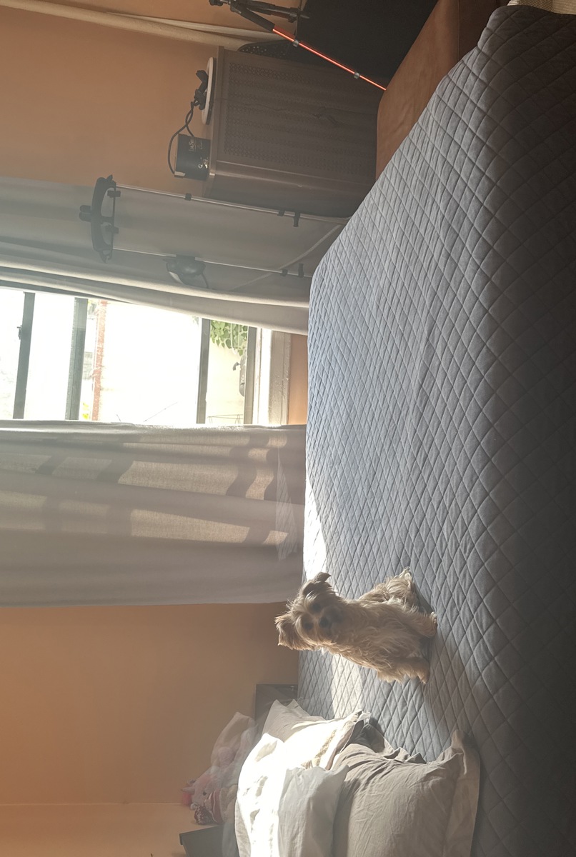 Cozy and Safe One-Bedroom Apartment in New York