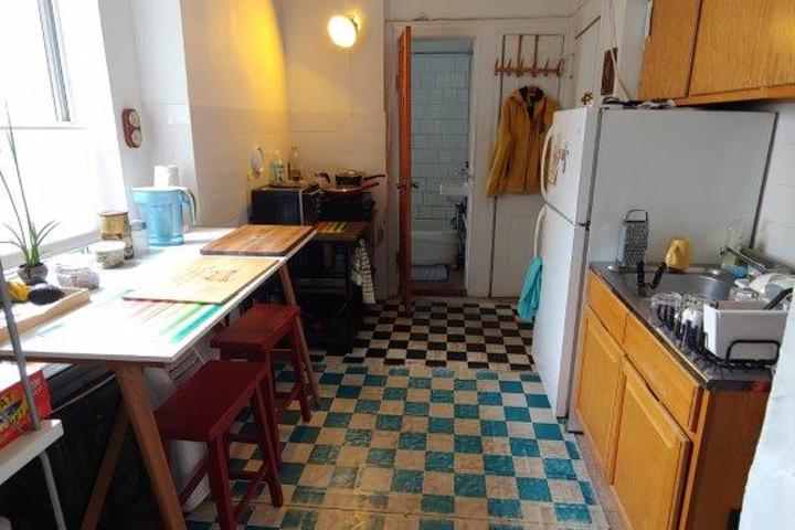 Cheerful bohemian flat in trendy WIlliamsburg - 3