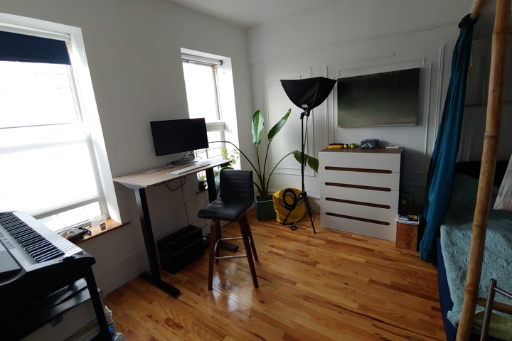 Cheerful bohemian flat in trendy WIlliamsburg - 1