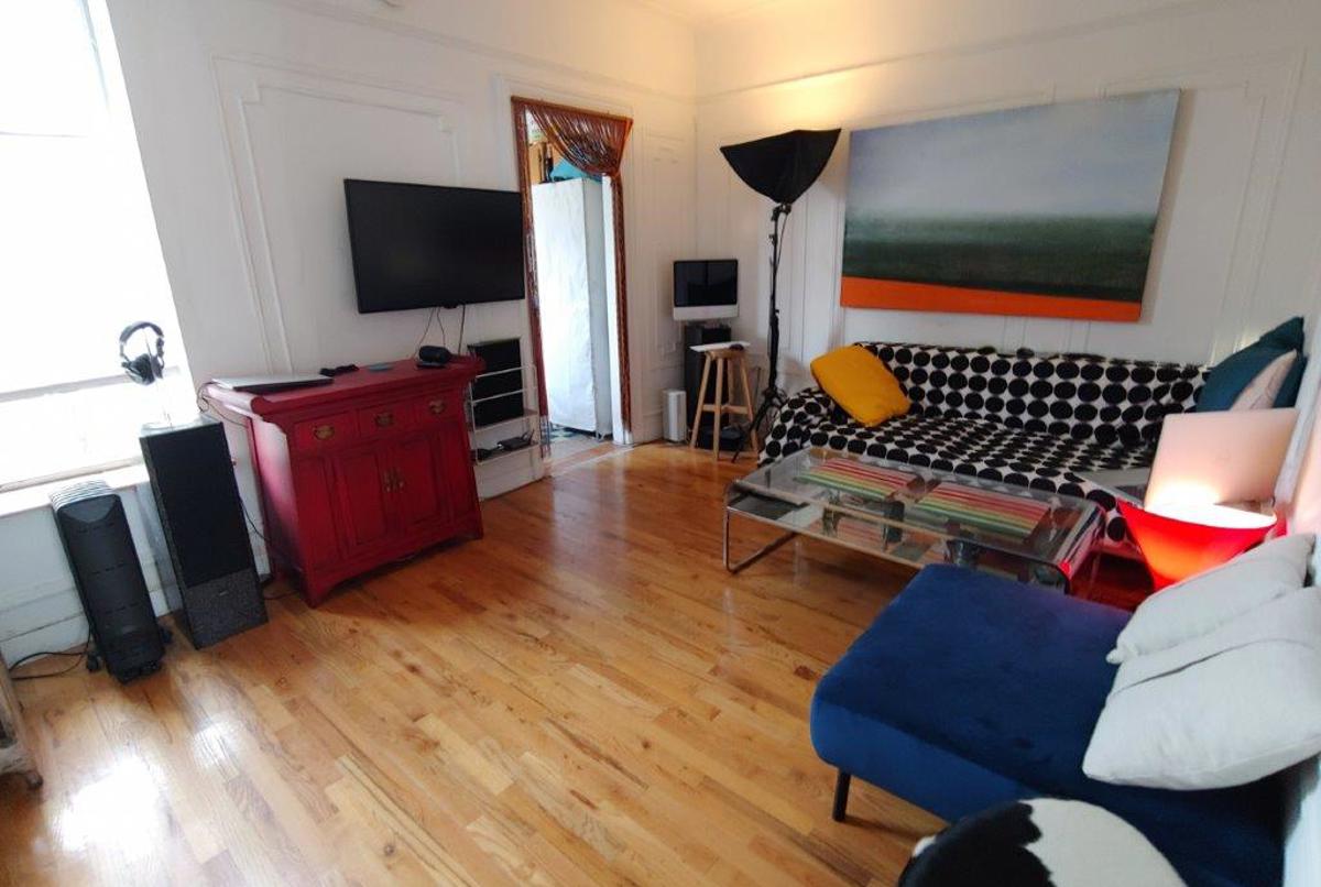 Cheerful bohemian flat in trendy WIlliamsburg