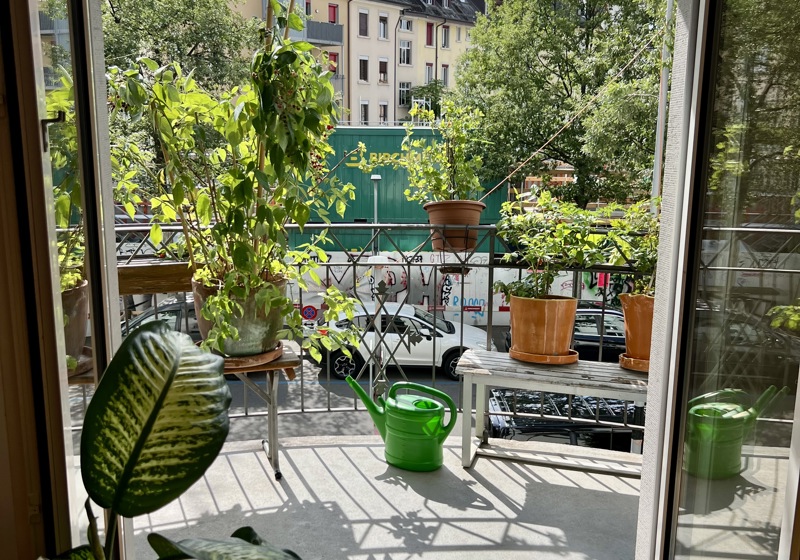 home swap in Zurich, Switzerland