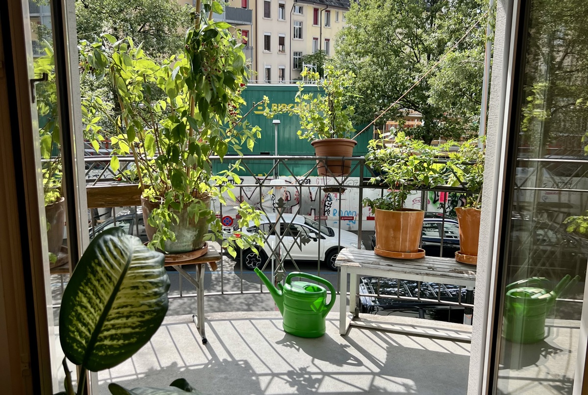 artsy heart of zuerich, switzerland