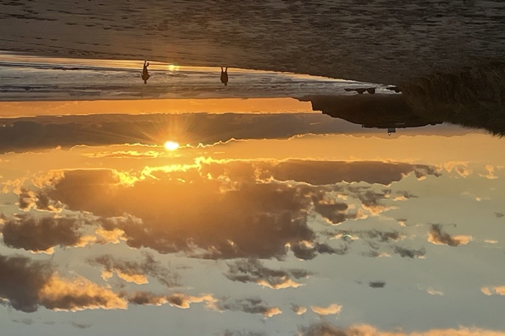 Newly renovated coastal home near the CBD - 20