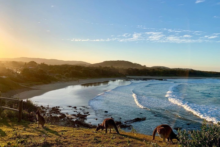 Newly renovated coastal home near the CBD - 24