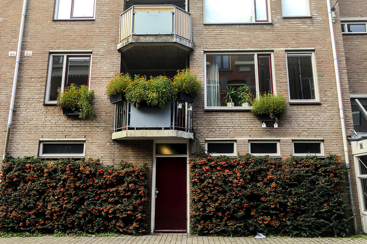 Studio Tuinstraat - 1