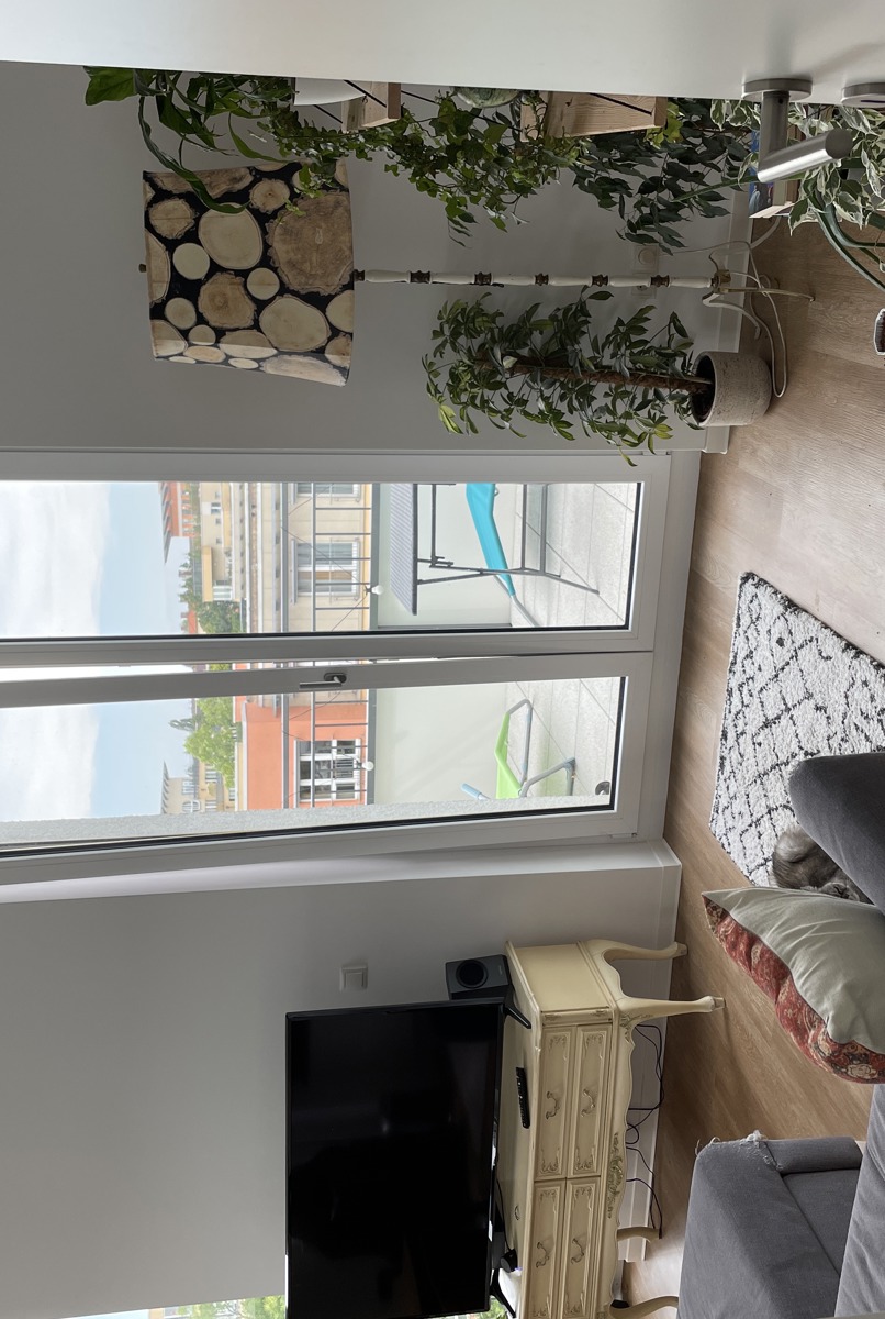 Central, Cozy & Sunny – Perfect for Remote Work