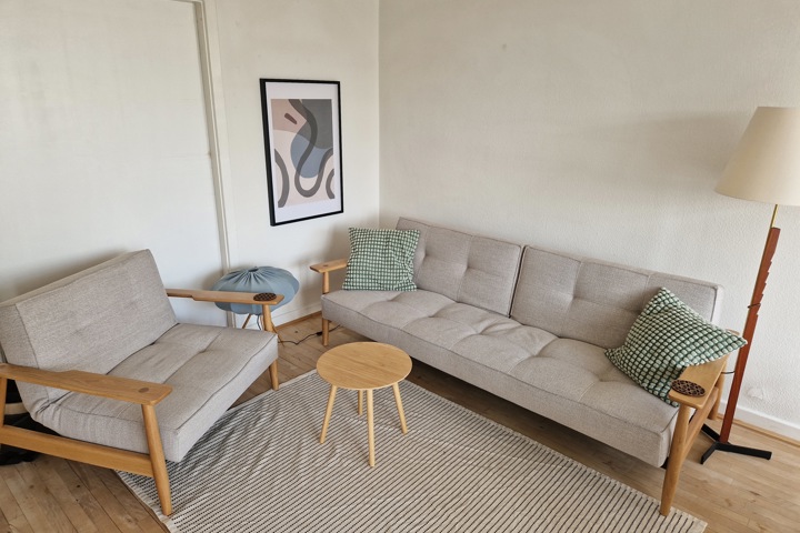 Cozy appartment in Denmark - 3