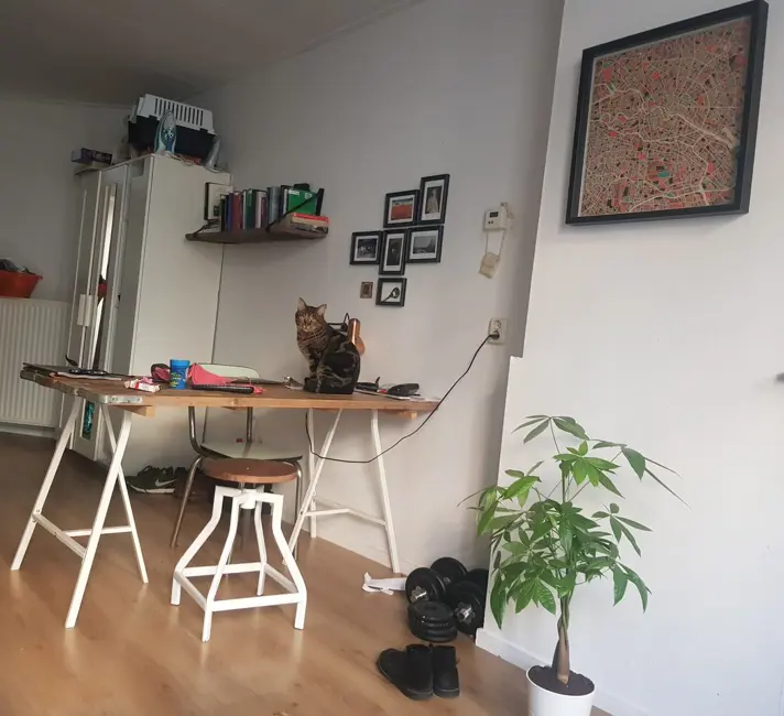 Amsterdam, The Netherlands Studio · 1 workspace · 27 Mbps WiFi