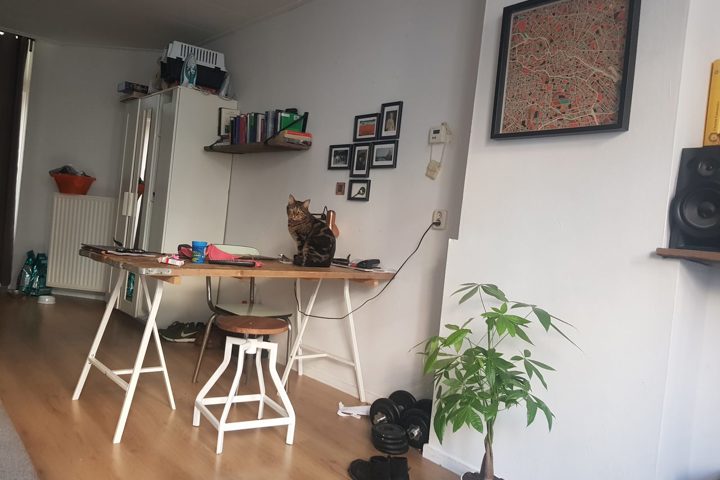 Lovely studio - Amsterdam Westerpark - 1
