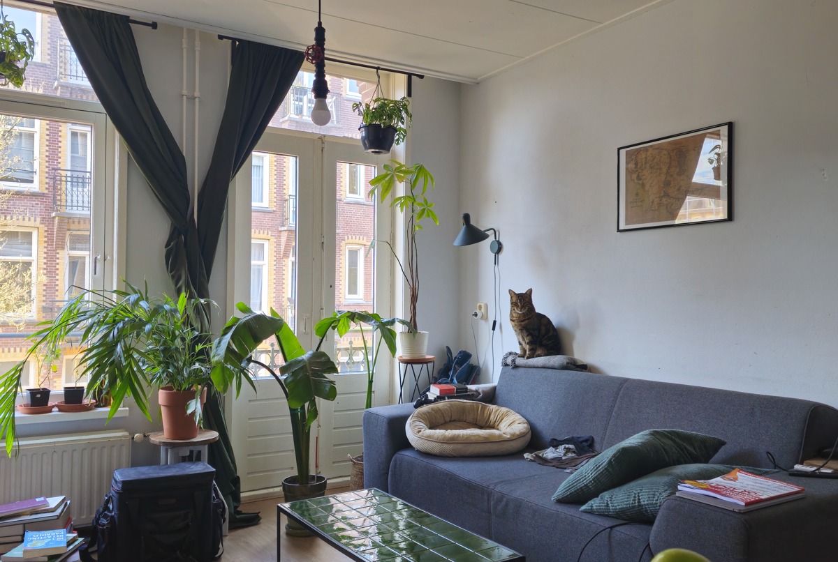 Lovely studio - Amsterdam Westerpark