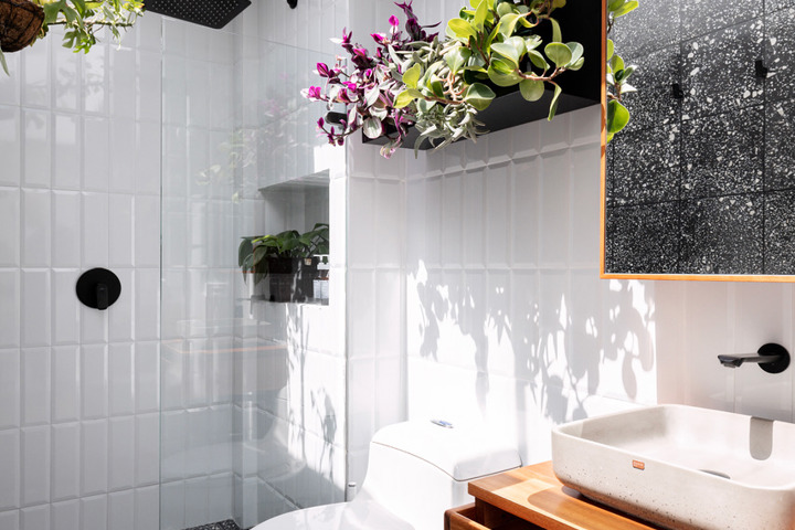 Bogota Plant Paradise - 4