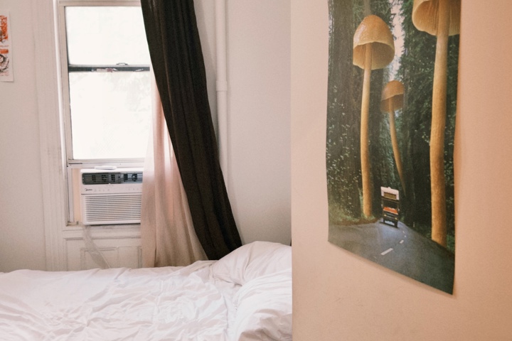 Spacious, charming Brooklyn (Greenpoint) 2-Bedroom - 5