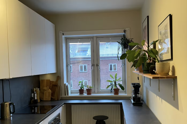 Beautiful and spacious central apartment - 2