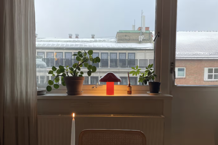 Beautiful and spacious central apartment - 5