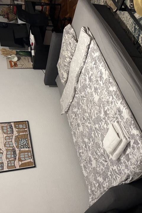 One-bedroom apartment next to Plaza de Espana - 4